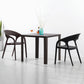 Modern Style Dining Chair Plastic Arm Chair with Plastic Legs for Kitchen