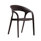 Modern Style Dining Chair Plastic Arm Chair with Plastic Legs for Kitchen