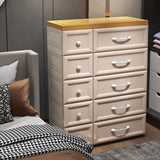 Gabinete casero de plástico de armario de estilo moderno con 10 cajones