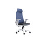 High Back Task Chair Mesh Adjustable Arm Office Chair with Wheels