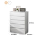 Contemporary Matte Finish Dresser Bedroom Wood Storage Chest Clearhalo 'Bedroom Furniture' 'Dressers & Chests' 'dressers_chests' 'furn' 'furn_dressers_chests' 'Furniture' 5592498