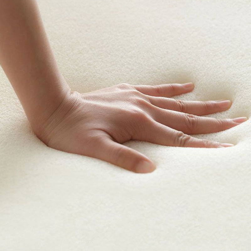 Velvet Contemporary Standard Sofa Armless Sofa for Living Room, Apartment Clearhalo 'furn' 'furn_sofas' 'Furniture' 'Living Room Furniture' 'Sofa' 'sofas' 5601438