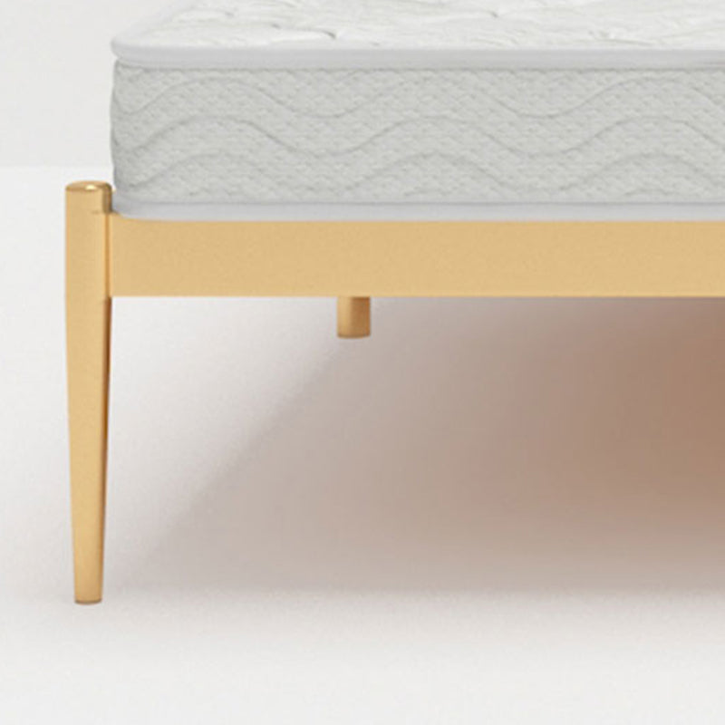 Glam Metallic Standard Bed, Beveled Open-Frame Headboard Bed Frame Clearhalo 'Bedroom Furniture' 'Beds' 'furn' 'furn_beds' 'Furniture' 5604303