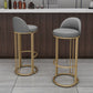 Glam Armless Backrest Counter Stool Iron Restaurant Bar Stool with Cushion and Pedal Clearhalo 'Bar Furniture' 'Bar Stools' 'bar_stools' 'furn' 'furn_bar_stools' 'Furniture' 'Kitchen & Dining Furniture' 5604898
