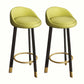 Modern Home Low Back Barstool Matte Finish Upholstered Stools Green Black 2 Piece Set Clearhalo 'Bar Furniture' 'Bar Stools' 'bar_stools' 'furn' 'furn_bar_stools' 'Furniture' 'Kitchen & Dining Furniture' 5617523