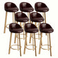 Modern Home Low Back Barstool Matte Finish Upholstered Stools Dark Brown Natural 8 Piece Set Clearhalo 'Bar Furniture' 'Bar Stools' 'bar_stools' 'furn' 'furn_bar_stools' 'Furniture' 'Kitchen & Dining Furniture' 5617571
