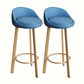 Modern Home Low Back Barstool Matte Finish Upholstered Stools Blue Natural 2 Piece Set Clearhalo 'Bar Furniture' 'Bar Stools' 'bar_stools' 'furn' 'furn_bar_stools' 'Furniture' 'Kitchen & Dining Furniture' 5617573