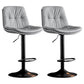 Modern Metal Stool Faux Leather Footrest Stool Adjustable Height in Matte Finish Light Gray Black 2 Piece Set Clearhalo 'Bar Furniture' 'Bar Stools' 'bar_stools' 'furn' 'furn_bar_stools' 'Furniture' 'Kitchen & Dining Furniture' 5617800