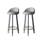Glam Metal Barstool Fabric Counter Stool in Matte Finish for Home Light Gray 2 Piece Set Clearhalo 'Bar Furniture' 'Bar Stools' 'bar_stools' 'furn' 'furn_bar_stools' 'Furniture' 'Kitchen & Dining Furniture' 5618016