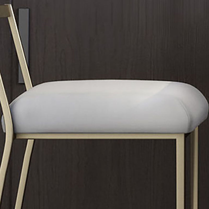 Glam Metal Dining Room Chair Armless Velvet Dining Side Chair for Restaurant Use Clearhalo 'Dining Chairs' 'Dining Tables & Seating' 'dining_chair' 'furn' 'furn_dining_chair' 'Furniture' 'Kitchen & Dining Furniture' 5620821