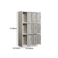 Modern & Contemporary Hinged Door Cabinet Gray Metal Storage Cabinet