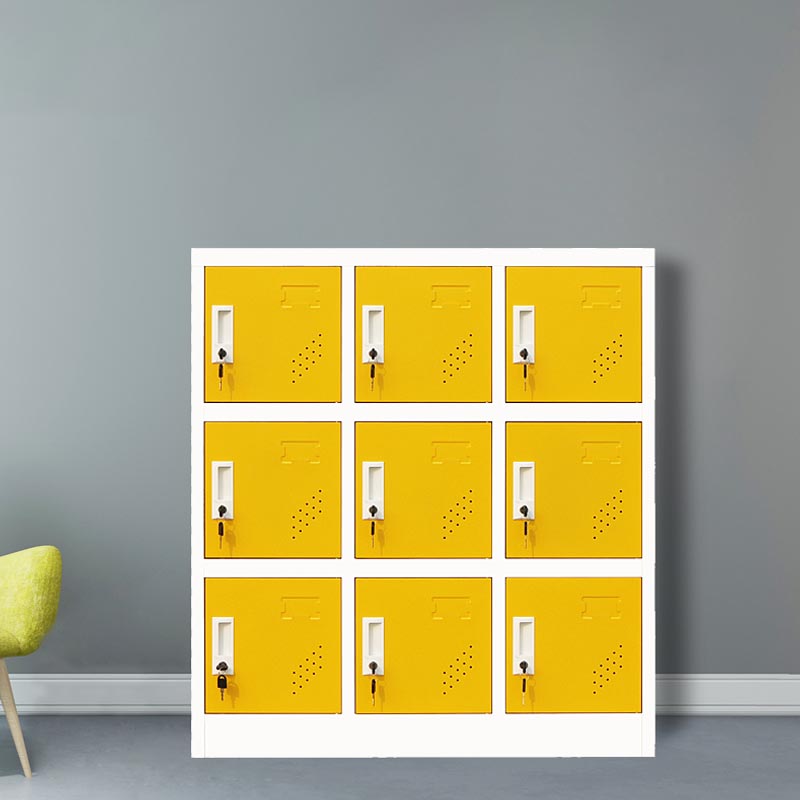 Armoire de rangement contemporaine Armoire de garde-robe non à maintenir pour la maison