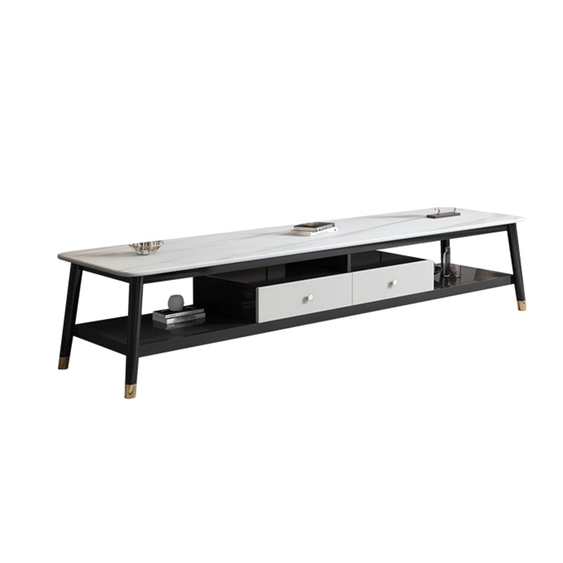 18.11"H TV Stand Contemporary Style Solid Wood TV Console with 2 Drawers Black White Clearhalo 'furn' 'furn_tv_stands_entertainment_centers' 'Furniture' 'Living Room Furniture' 'TV Stands & Entertainment Centers' 'TV Stands & Media Storage Furniture' 'tv_stands_entertainment_centers' 5630802