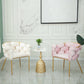 Glam Metal Dining Room Chair Velvet Dining Side Chair for Home Use Clearhalo 'Dining Chairs' 'Dining Tables & Seating' 'dining_chair' 'furn' 'furn_dining_chair' 'Furniture' 'Kitchen & Dining Furniture' 5632788