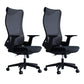 High Back Office Chair Rotatable Black Mesh Desk Chair with Adjustable Arm 2 Piece Set Casters Included Clearhalo 'furn' 'furn_office_chair' 'Furniture' 'Office Chairs' 'Office Furniture' 'office_chair' 5636952