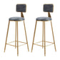 Glam Round Indoor Counter Stool Footrest Low Back Counter-height Stool Grey 2 Piece Set Clearhalo 'Bar Furniture' 'Bar Stools' 'bar_stools' 'furn' 'furn_bar_stools' 'Furniture' 'Kitchen & Dining Furniture' 5639008