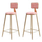 Glam Round Indoor Counter Stool Footrest Low Back Counter-height Stool Pink 2 Piece Set Clearhalo 'Bar Furniture' 'Bar Stools' 'bar_stools' 'furn' 'furn_bar_stools' 'Furniture' 'Kitchen & Dining Furniture' 5639015