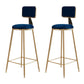 Glam Round Indoor Counter Stool Footrest Low Back Counter-height Stool Blue 2 Piece Set Clearhalo 'Bar Furniture' 'Bar Stools' 'bar_stools' 'furn' 'furn_bar_stools' 'Furniture' 'Kitchen & Dining Furniture' 5639019