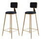 Glam Round Indoor Counter Stool Footrest Low Back Counter-height Stool Black 2 Piece Set Clearhalo 'Bar Furniture' 'Bar Stools' 'bar_stools' 'furn' 'furn_bar_stools' 'Furniture' 'Kitchen & Dining Furniture' 5639023