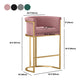 Glam Fabric Counter Stool Luxury Furniture with Gold Legs in Matte Finish for Indoor