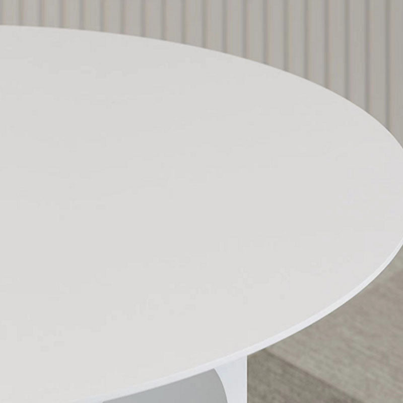 19.6"Tall Mid-Century Metal Round Top Side Table Pedestal End Table