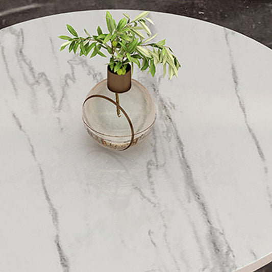 焼結石ダイニングテーブル伝統的な豪華な丸いチューリップダイニングテーブル