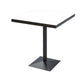 Sintered Stone Dining Table Industrial Square Dining Table with Metal Base 27.6"L x 27.6"W x 29.5"H Without Chairs Clearhalo 'Dining Tables & Seating' 'Dining Tables' 'dining_table' 'furn' 'furn_dining_table' 'Furniture' 'Kitchen & Dining Furniture' 5648595