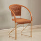 Mid-centuryl Modern Style Arms Included Woven Back Sled Accent Armchair