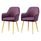 Modern Style Cloth Overturning Armrest Fixed Backrest Metal Arm Chair Violet 2 Piece Set Brass Gold Clearhalo 'Accent Chairs' 'accent_chairs' 'Chairs & Seating' 'furn' 'furn_accent_chairs' 'Furniture' 'Living Room Furniture' 5650415
