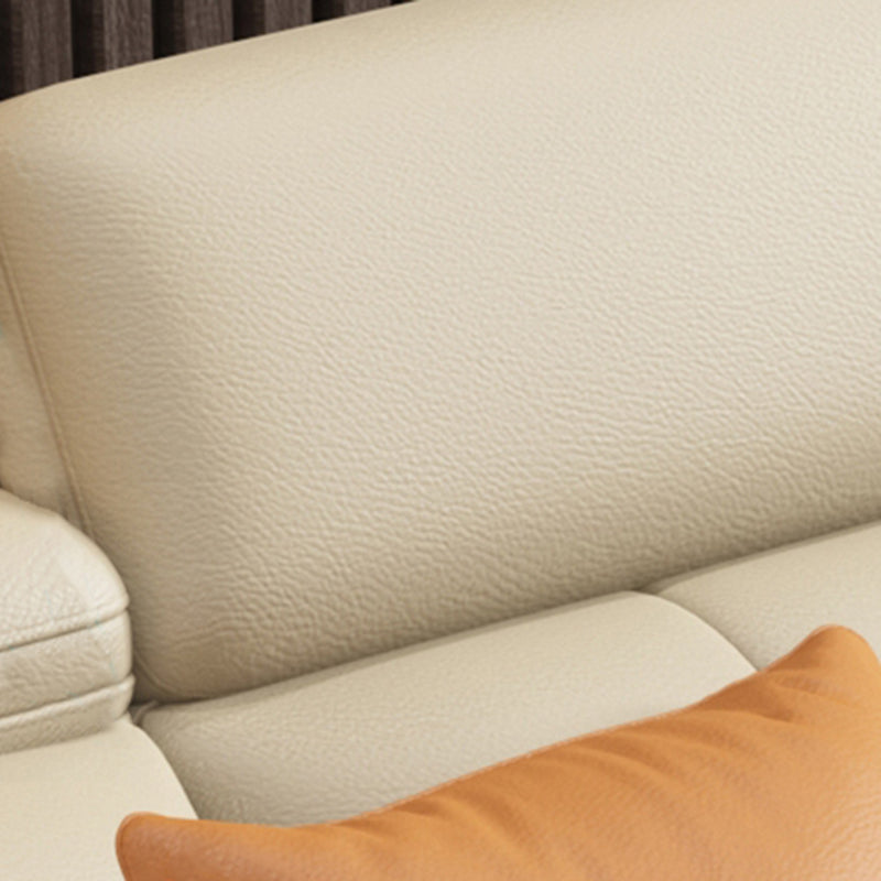 Sofá estacionario de brazo de cuero genuino resistente a las manchas contemporáneos