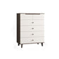 Modern Rectangle Accent Chest with Drawer Scratch Resistant Chest