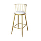 Glam Metal Barstool Plastic Counter Stool in Matte Finish for Indoor
