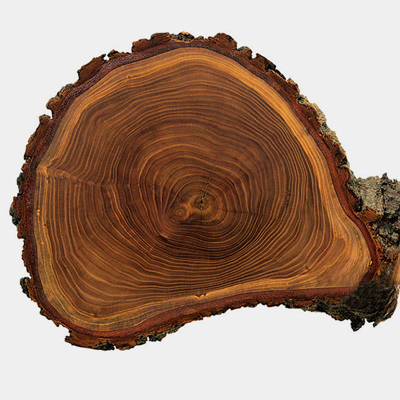 Estantería de la escalera estantería moderna de nogal con 4 estantes para la oficina en casa