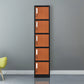 Metal Hinged Door Storage Cabinet Contemporary Cabinet for Bathroom