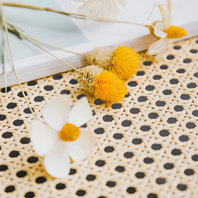 現代バルコニーウッドアームチェアマット仕上げオープンダイニングチェア