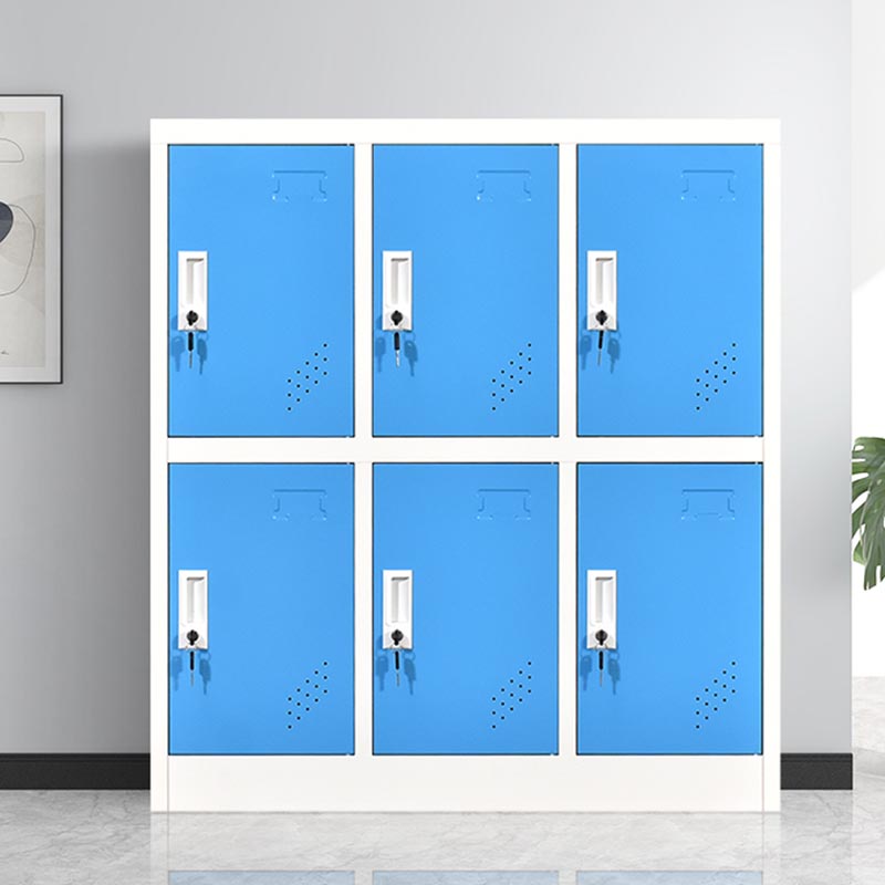 Scharnierende eigentijdse opbergkastje niet-hangende armoire voor thuis