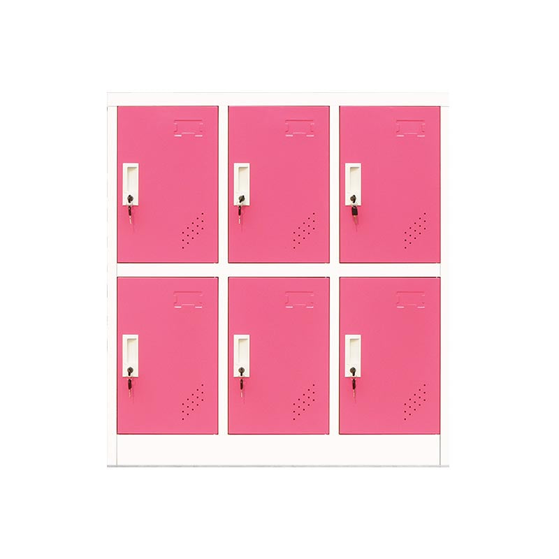 Scharnierende eigentijdse opbergkastje niet-hangende armoire voor thuis