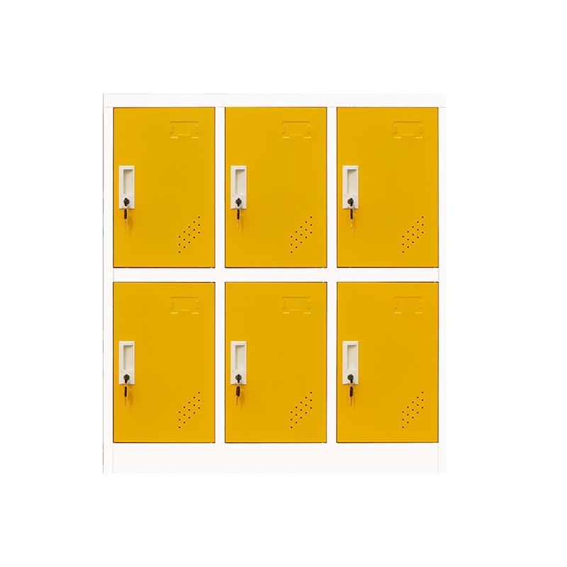 Scharnierende eigentijdse opbergkastje niet-hangende armoire voor thuis