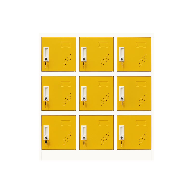 Scharnierende eigentijdse opbergkastje niet-hangende armoire voor thuis