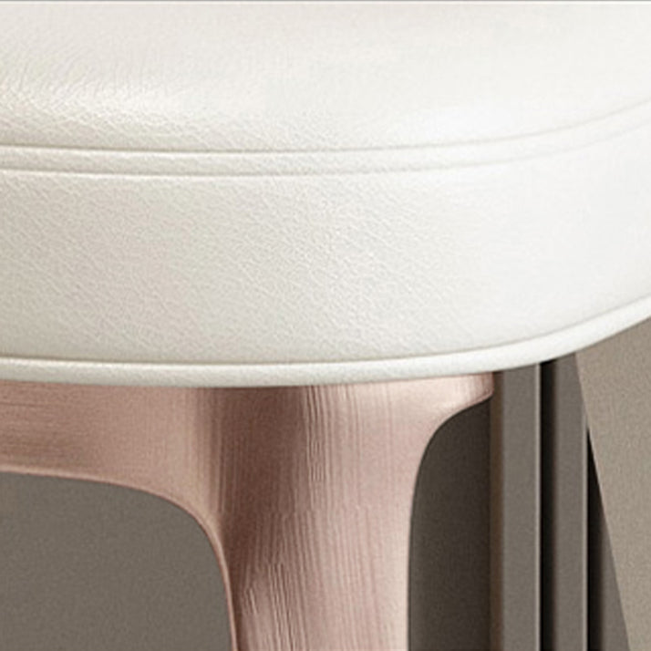 Nordic Style Metal Dining Chairs Leather Dining Parsons Chair for Restaurant Use Clearhalo 'Dining Chairs' 'Dining Tables & Seating' 'dining_chair' 'furn' 'furn_dining_chair' 'Furniture' 'Kitchen & Dining Furniture' 5687746