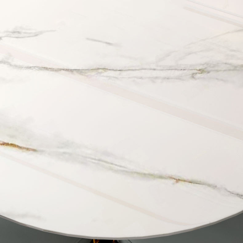 Contemporary Round Turntable Faux Leather Dining Set Stone 1/4/7 Pieces Dining Furniture Clearhalo 'Dining Room Sets' 'Dining Tables & Seating' 'dining_room_set' 'furn' 'furn_dining_room_set' 'Furniture' 'Kitchen & Dining Furniture' 5691876