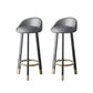 Glam Metal Barstool Faux Leather Footrest Stool in Matte Finsih for Indoor Grey 2 Piece Set Clearhalo 'Bar Furniture' 'Bar Stools' 'bar_stools' 'furn' 'furn_bar_stools' 'Furniture' 'Kitchen & Dining Furniture' 5695938