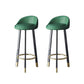 Glam Metal Barstool Faux Leather Footrest Stool in Matte Finsih for Indoor Blackish Green 2 Piece Set Clearhalo 'Bar Furniture' 'Bar Stools' 'bar_stools' 'furn' 'furn_bar_stools' 'Furniture' 'Kitchen & Dining Furniture' 5695957