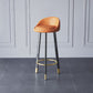 Glam Metal Barstool Faux Leather Footrest Stool in Matte Finsih for Indoor Orange 1 Piece Clearhalo 'Bar Furniture' 'Bar Stools' 'bar_stools' 'furn' 'furn_bar_stools' 'Furniture' 'Kitchen & Dining Furniture' 5695961