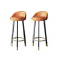 Glam Metal Barstool Faux Leather Footrest Stool in Matte Finsih for Indoor Orange 2 Piece Set Clearhalo 'Bar Furniture' 'Bar Stools' 'bar_stools' 'furn' 'furn_bar_stools' 'Furniture' 'Kitchen & Dining Furniture' 5695962