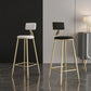 Glam Style Backrest Counter Stool Iron Kitchen Bar Stool with Velvet Cushion and Pedal Clearhalo 'Bar Furniture' 'Bar Stools' 'bar_stools' 'furn' 'furn_bar_stools' 'Furniture' 'Kitchen & Dining Furniture' 5696519