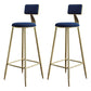 Glam Style Backrest Counter Stool Iron Kitchen Bar Stool with Velvet Cushion and Pedal Blue 2 Piece Set Clearhalo 'Bar Furniture' 'Bar Stools' 'bar_stools' 'furn' 'furn_bar_stools' 'Furniture' 'Kitchen & Dining Furniture' 5696537