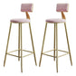 Glam Style Backrest Counter Stool Iron Kitchen Bar Stool with Velvet Cushion and Pedal Pink 2 Piece Set Clearhalo 'Bar Furniture' 'Bar Stools' 'bar_stools' 'furn' 'furn_bar_stools' 'Furniture' 'Kitchen & Dining Furniture' 5696547