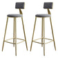 Glam Style Backrest Counter Stool Iron Kitchen Bar Stool with Velvet Cushion and Pedal Gray 2 Piece Set Clearhalo 'Bar Furniture' 'Bar Stools' 'bar_stools' 'furn' 'furn_bar_stools' 'Furniture' 'Kitchen & Dining Furniture' 5696552
