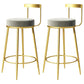 Glam Metal Barstool Velvet Footrest Low BackStool in Matte Finish for Indoor